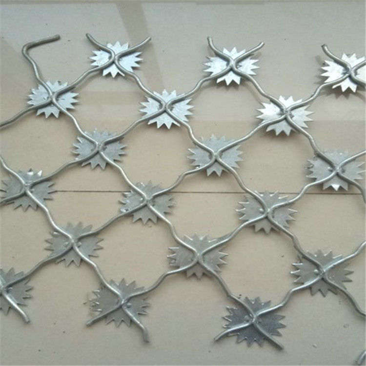 梅花刺監(jiān)獄防護網(wǎng)案例展示圖片3 梅花刺監(jiān)獄防護網(wǎng)案例展示圖片3