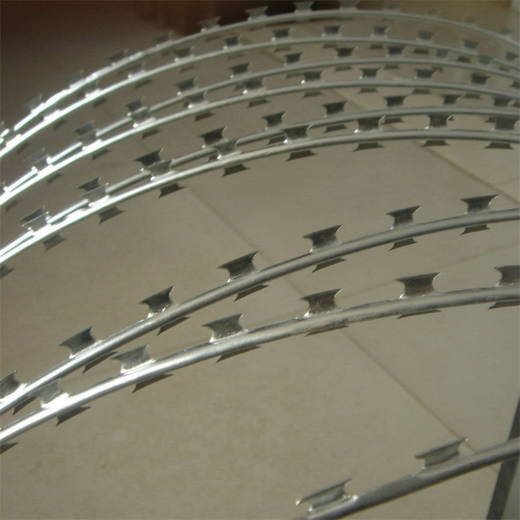 刀刺網案例展示圖片3 刀刺網案例展示圖片3