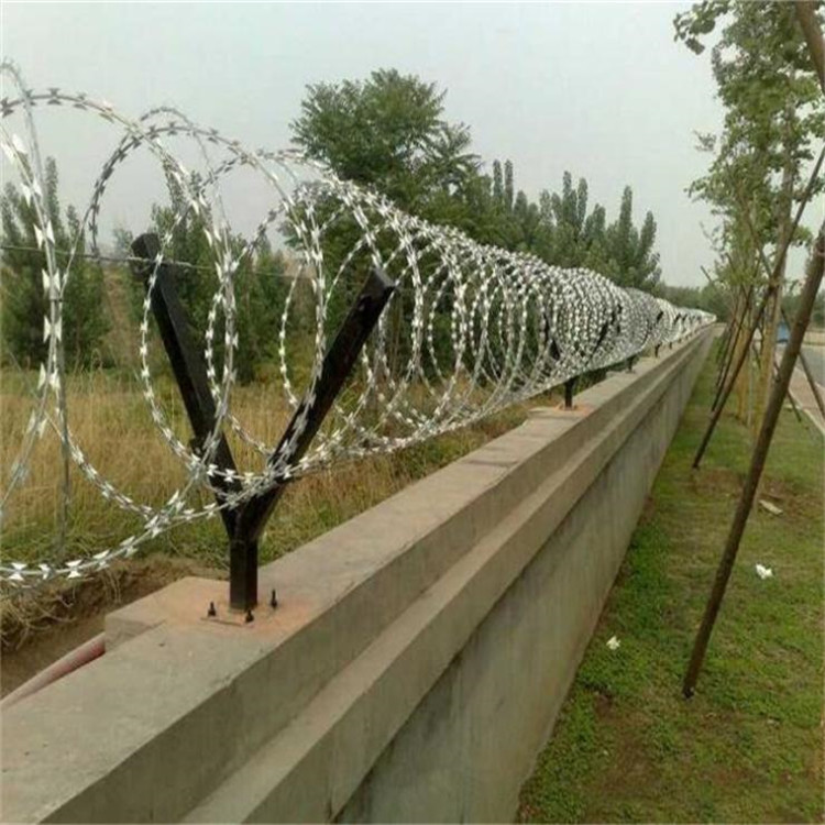 刀片刺網(wǎng)案例展示圖片3 刀片刺網(wǎng)案例展示圖片3