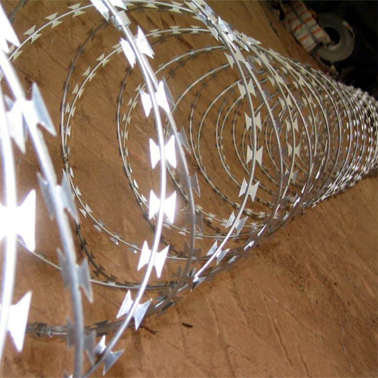 不銹鋼刀刺網案例展示圖片3 不銹鋼刀刺網案例展示圖片3