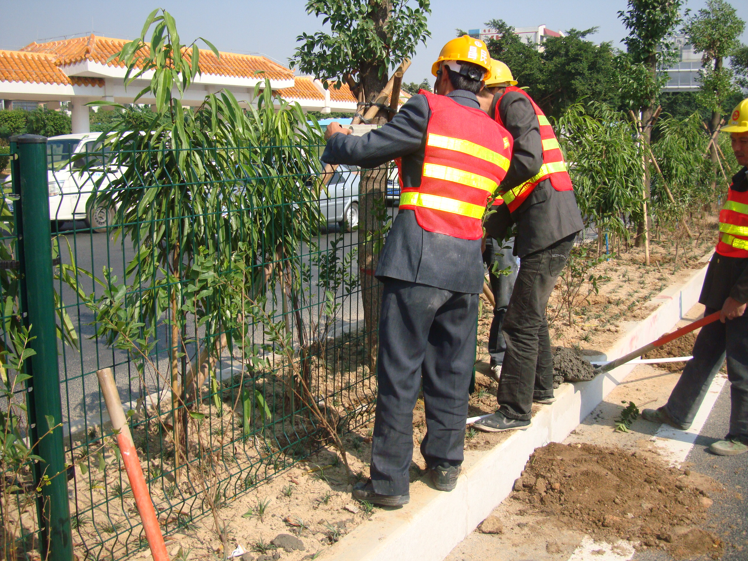 公路護欄網(wǎng)圖片4 公路護欄網(wǎng)圖片4